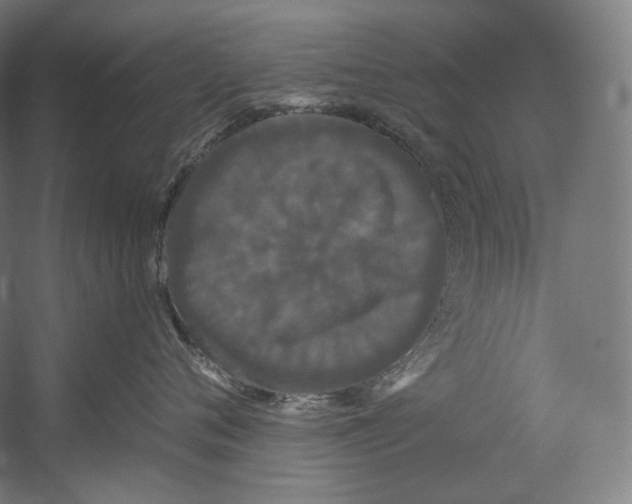 X0000055210720200508301322.png