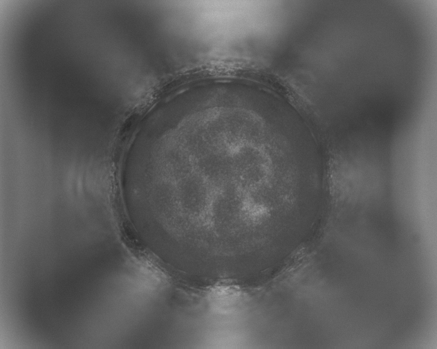 X0000052150451200507051956.png