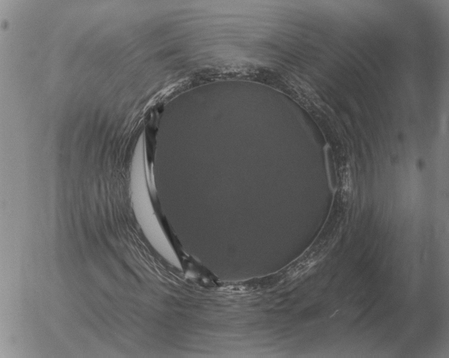 X0000054170916200508101755.png