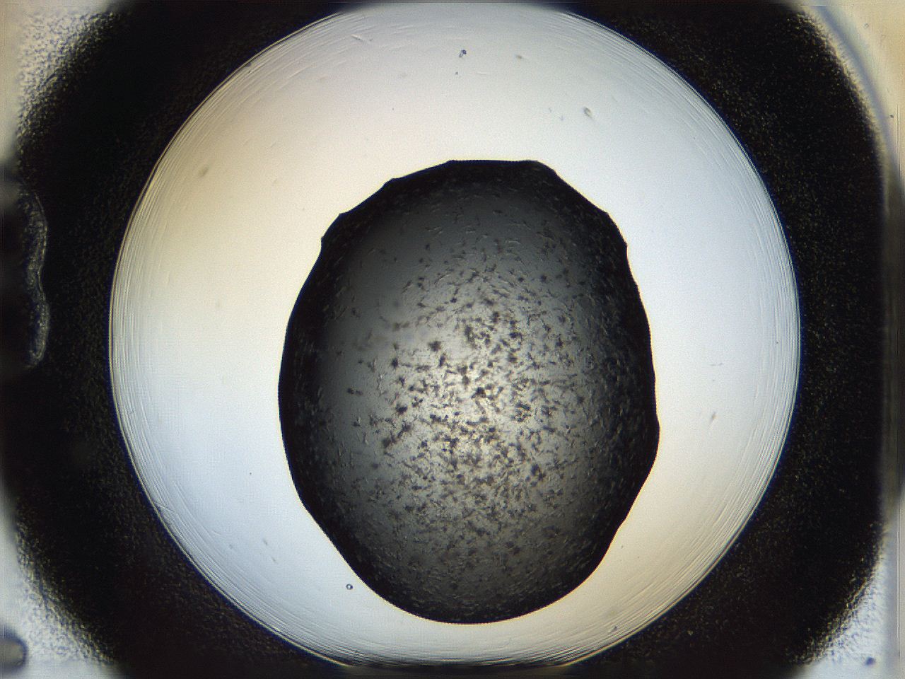 05dk_B6_ImagerDefaults_6.jpg