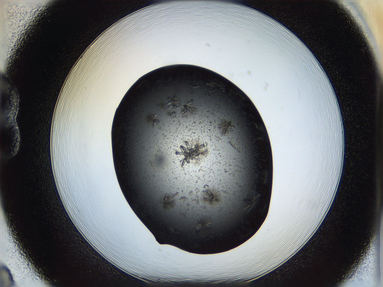 05dk_B8_ImagerDefaults_8.jpg