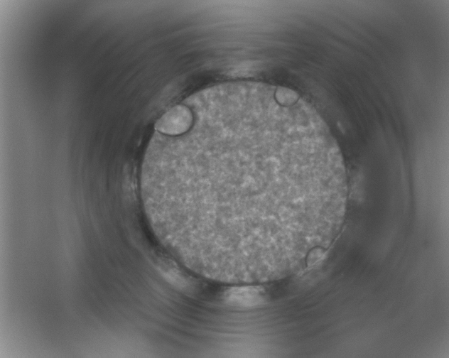 X0000053460179200508112207.png