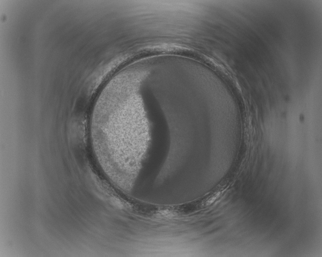 X0000054170111200508101809.png