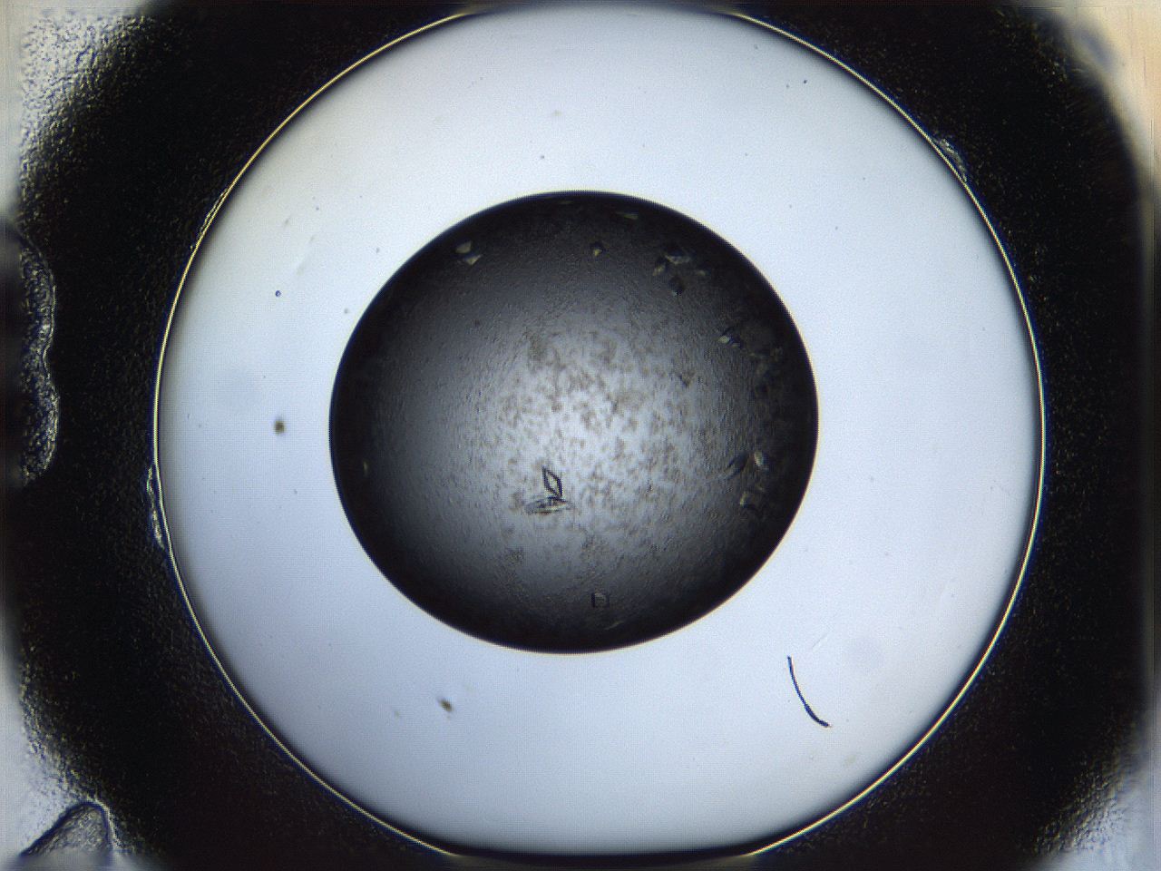 05dk_B11_ImagerDefaults_9.jpg