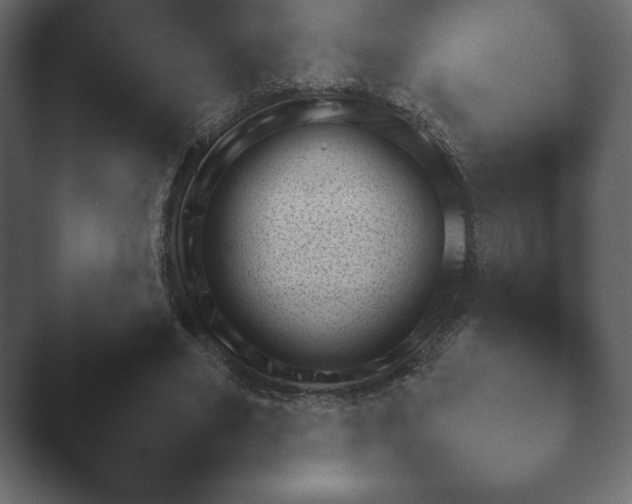 X0000048530490200503171514.png