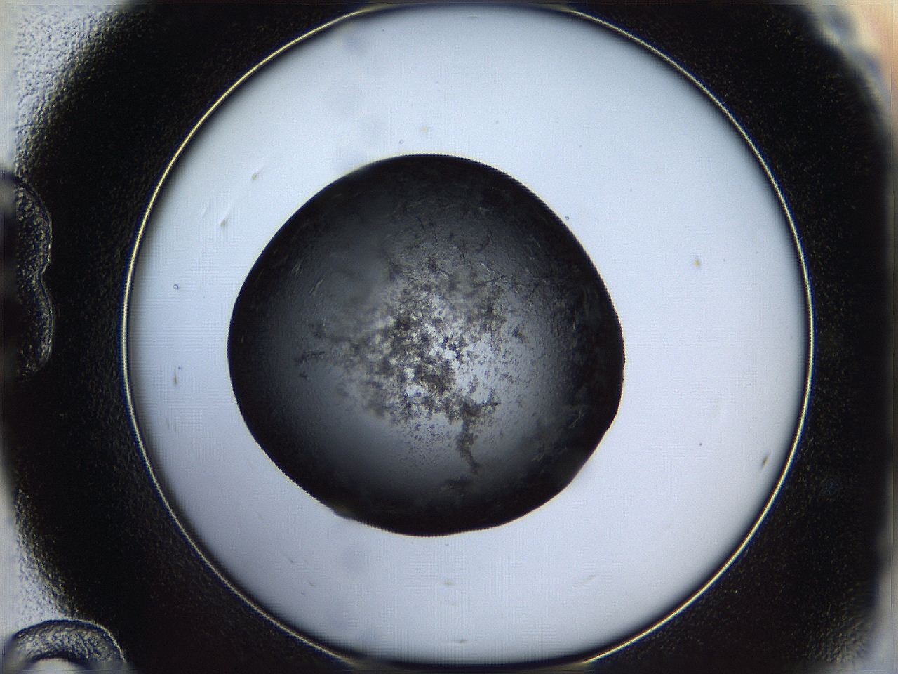 05dk_B12_ImagerDefaults_6.jpg