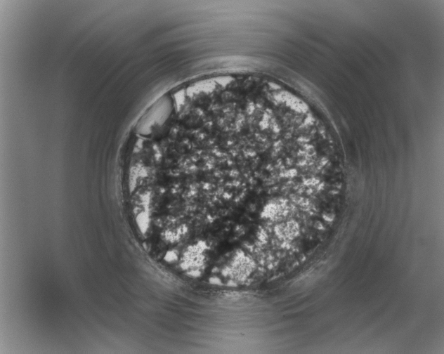 X0000053460835200508112155.png