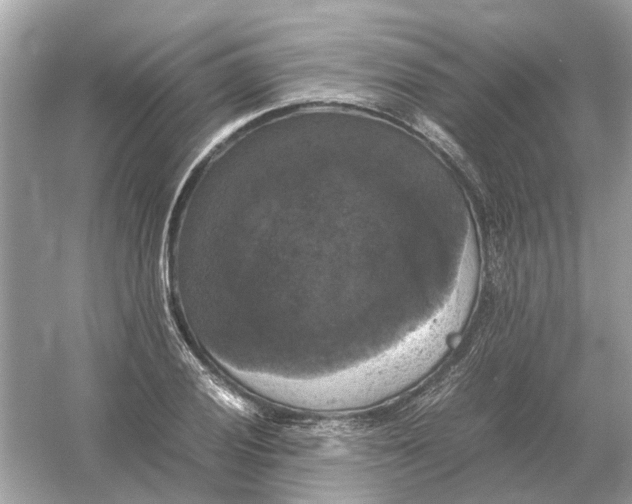 X0000054351028200508190123.png