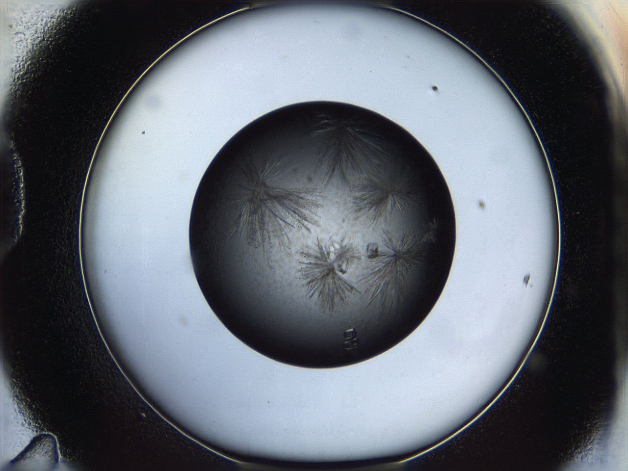 05dk_D11_ImagerDefaults_9.jpg