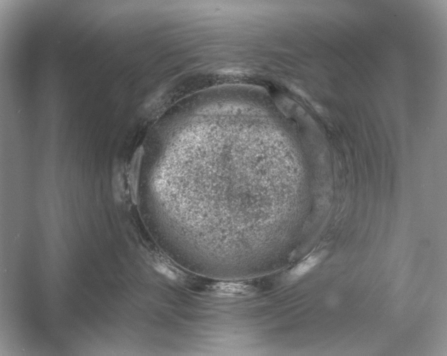 X0000054300528200508042313.png