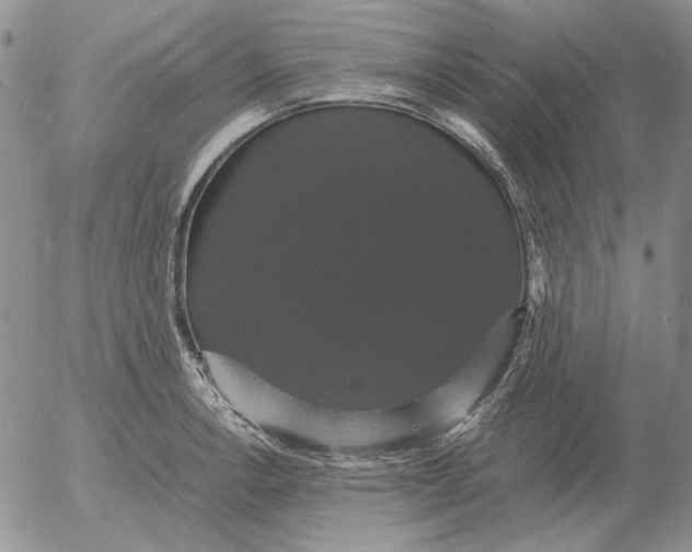 X0000054171138200508101753.png