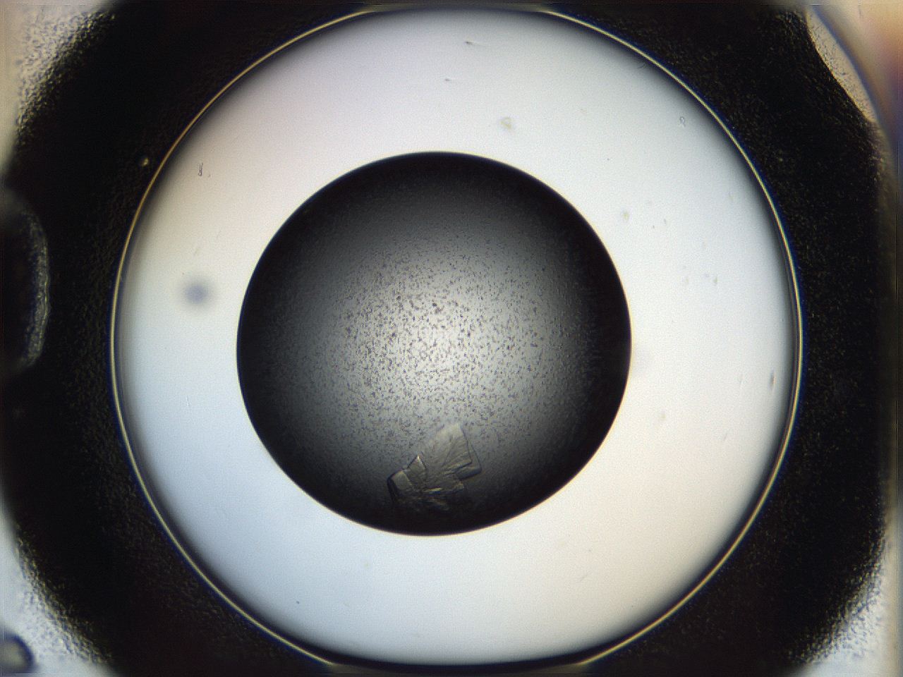 05dk_D6_ImagerDefaults_9.jpg
