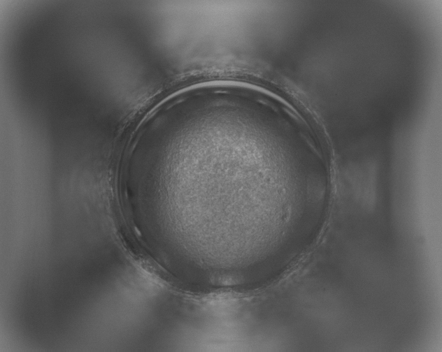 X0000052280105200507132039.png