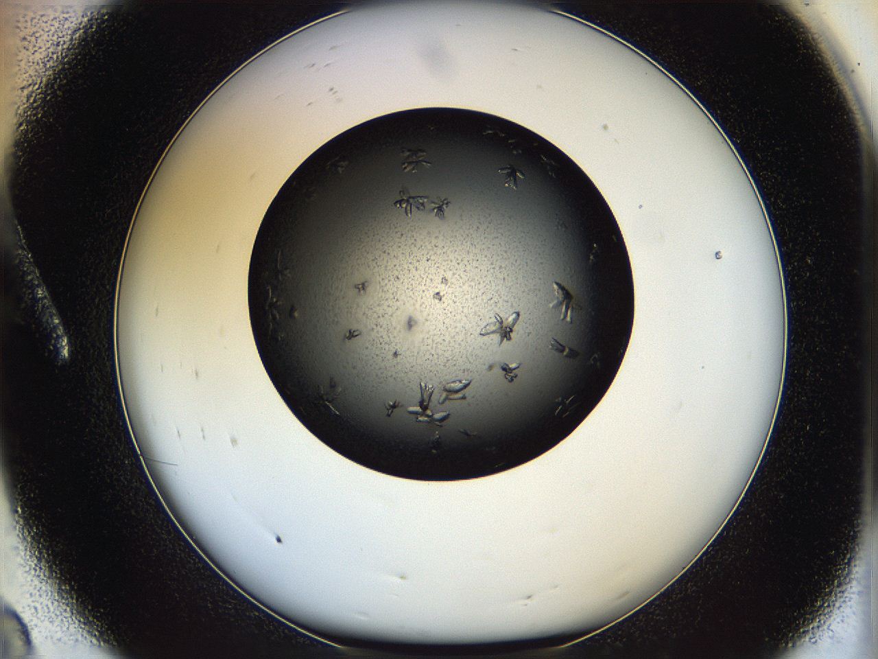 05dl_A8_ImagerDefaults_8.jpg