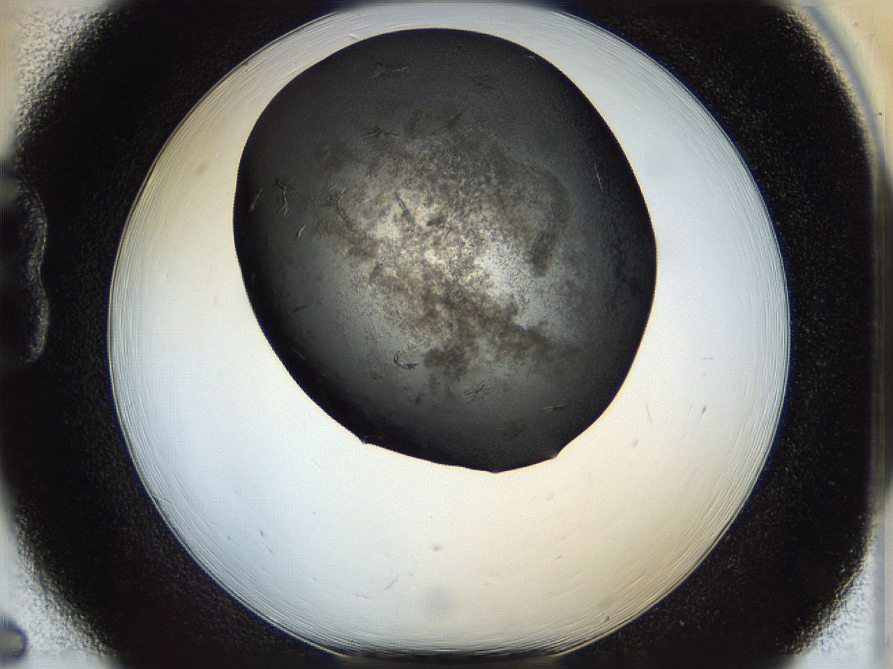 05dl_B6_ImagerDefaults_6.jpg