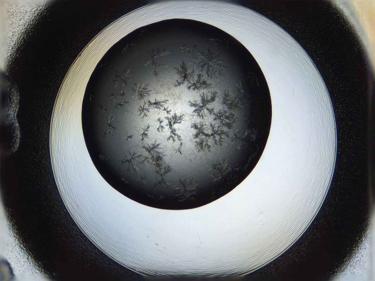05dl_B8_ImagerDefaults_6.jpg