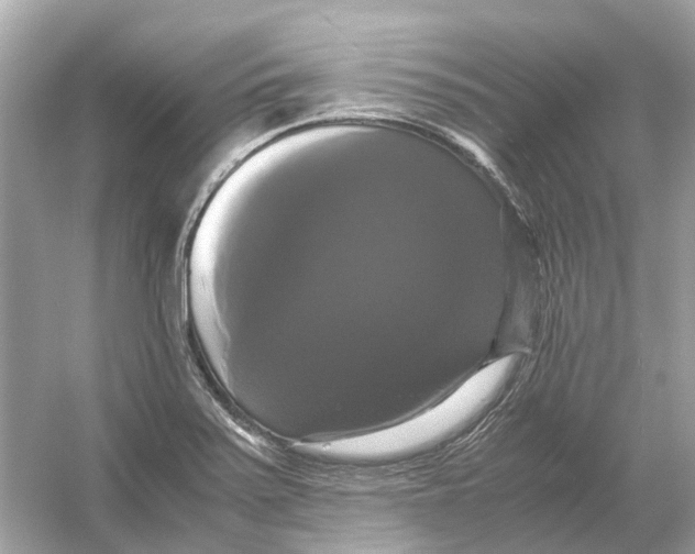 X0000054351371200508190117.png