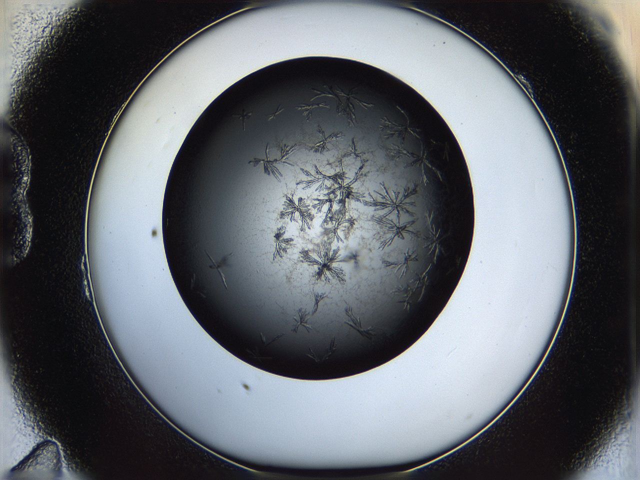05dl_B11_ImagerDefaults_7.jpg