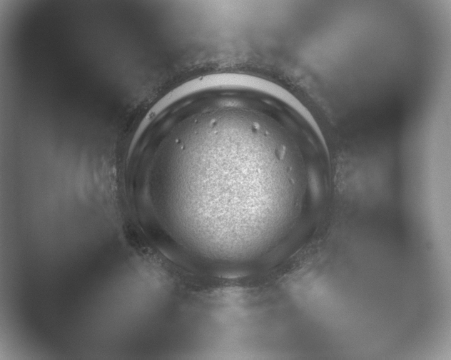 X0000052450212200507211322.png