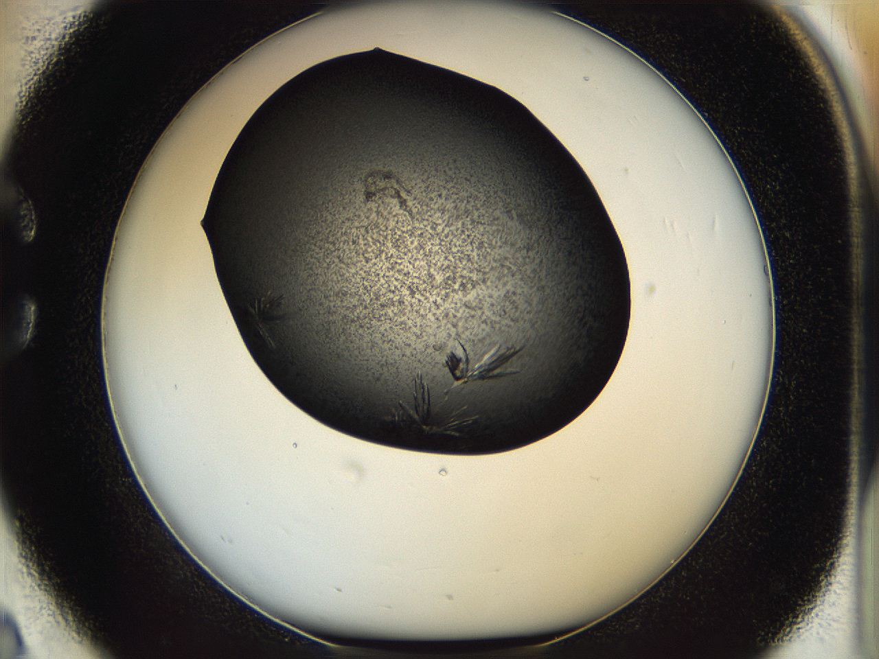 05dl_C2_ImagerDefaults_7.jpg