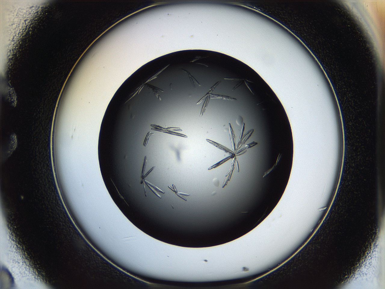 05dl_C8_ImagerDefaults_9.jpg