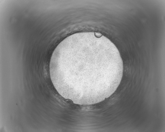 X0000054271490200508261902.png