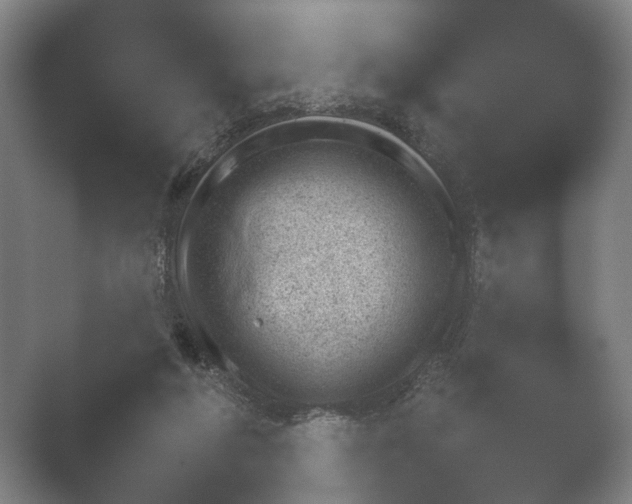 X0000052280210200507132037.png