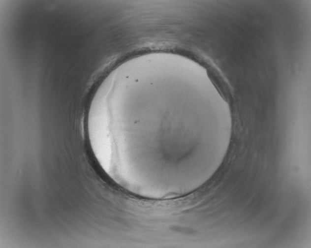 X0000054270019200508261928.png
