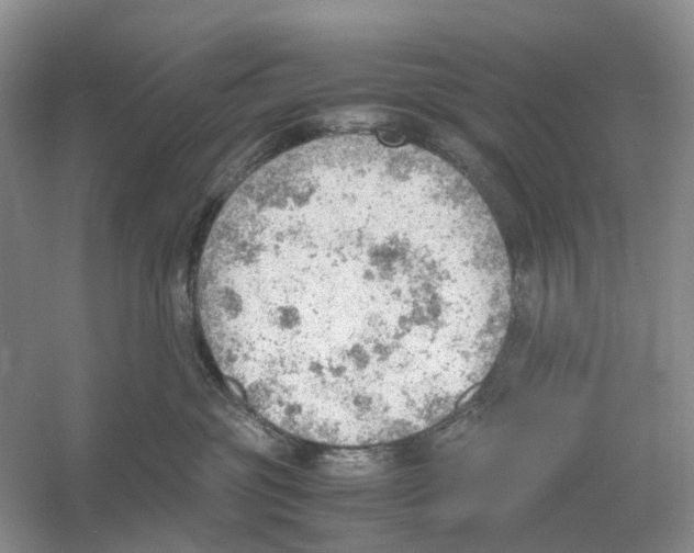 X0000054270381200508261922.png