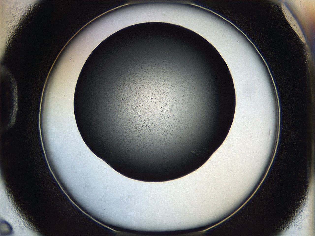 05dl_D6_ImagerDefaults_8.jpg