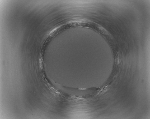 X0000054350822200508190126.png