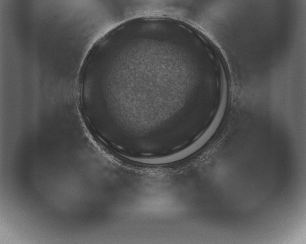 X0000038921045200409291000.png