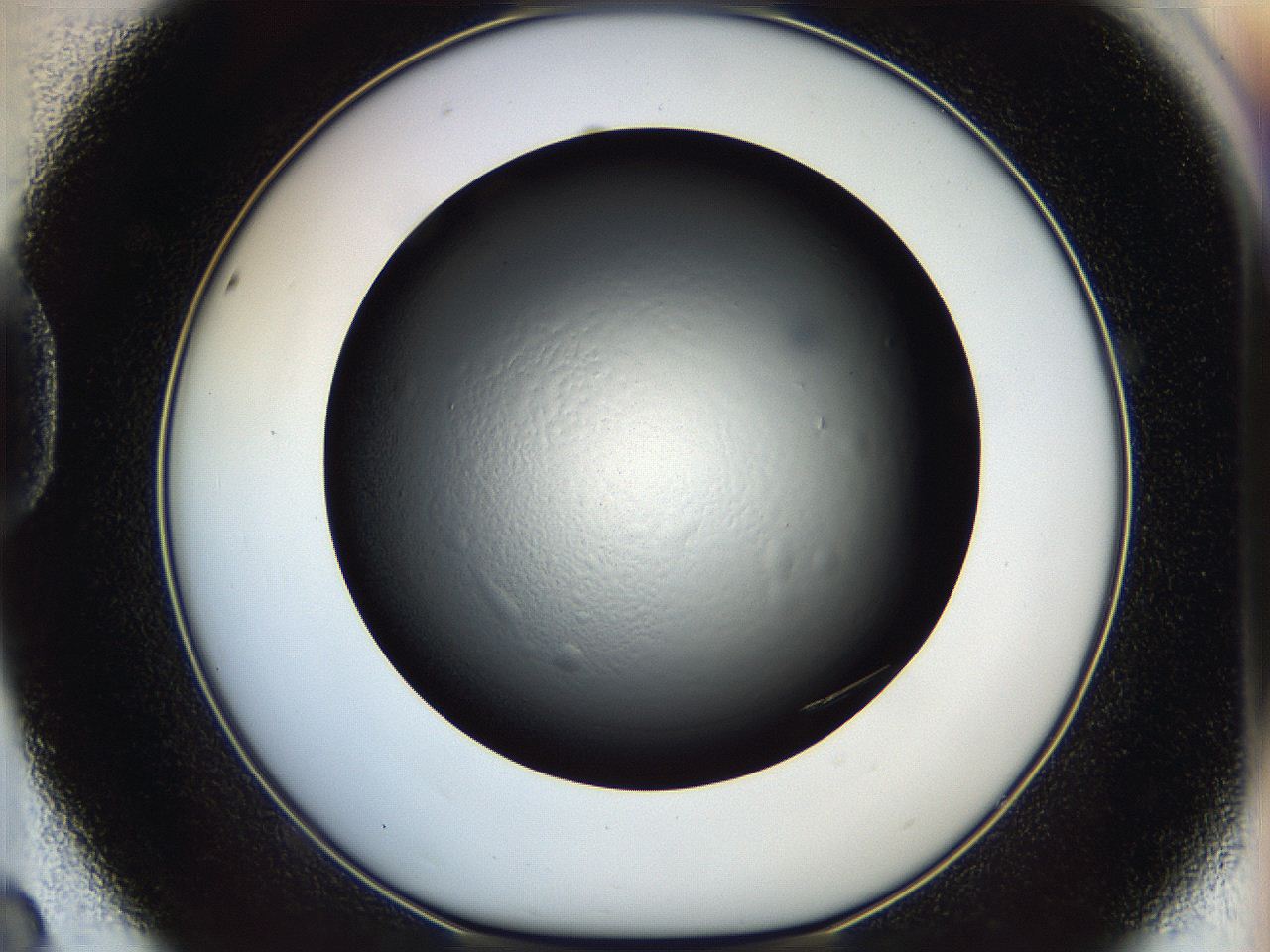 05dl_D8_ImagerDefaults_8.jpg