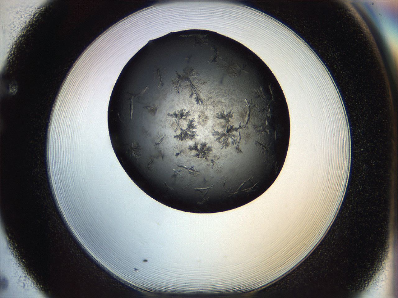 05dl_F5_ImagerDefaults_7.jpg