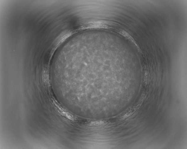 X0000055060882200508161643.png