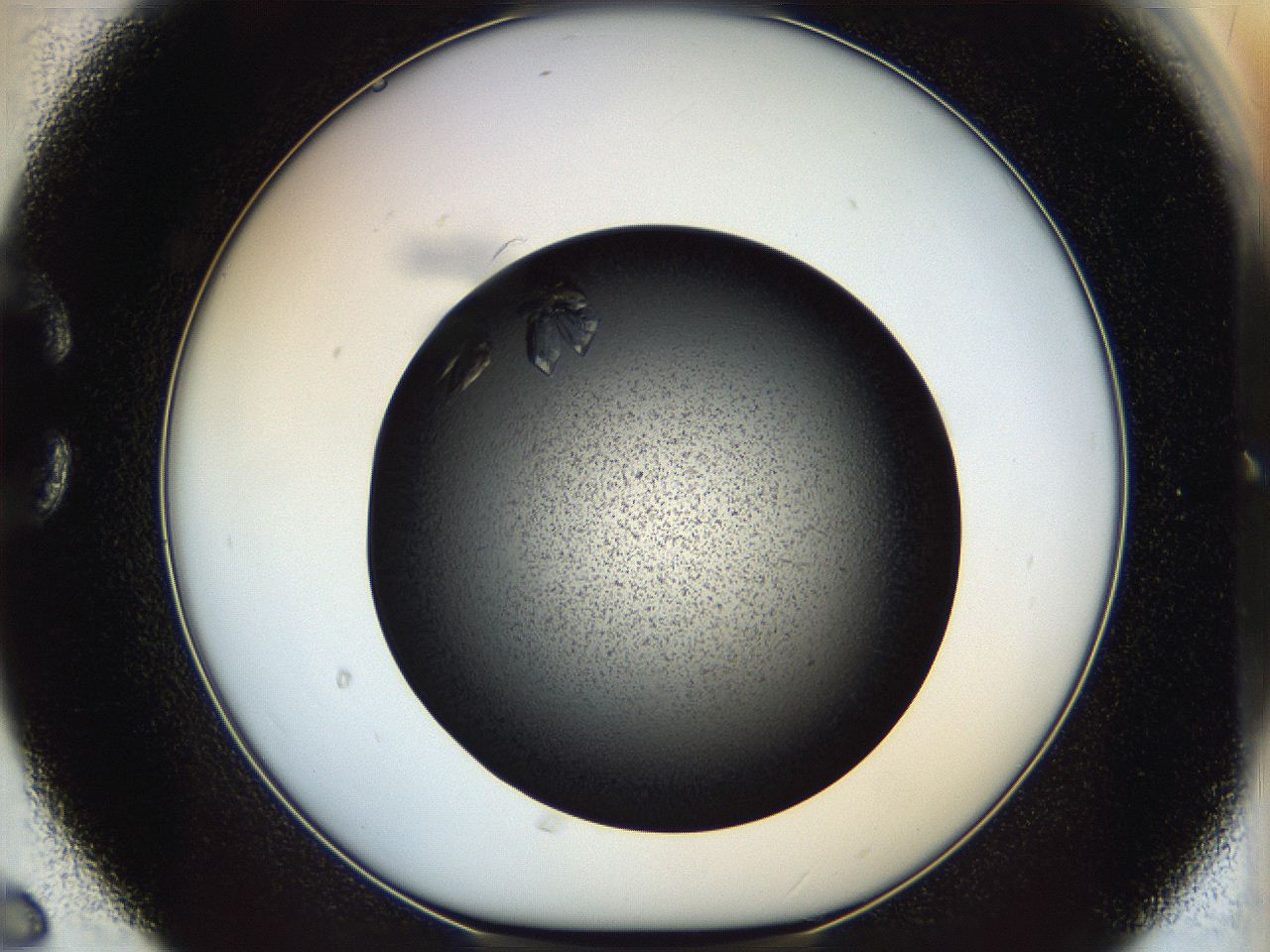 05dm_C6_ImagerDefaults_9.jpg