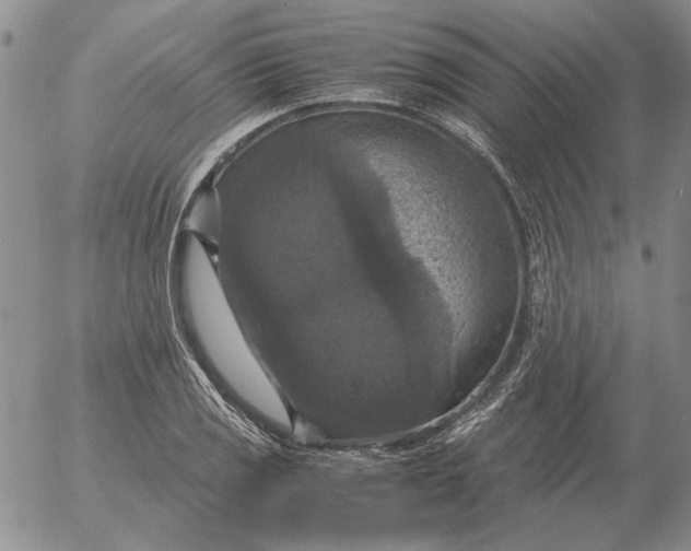 X0000054171125200508101753.png