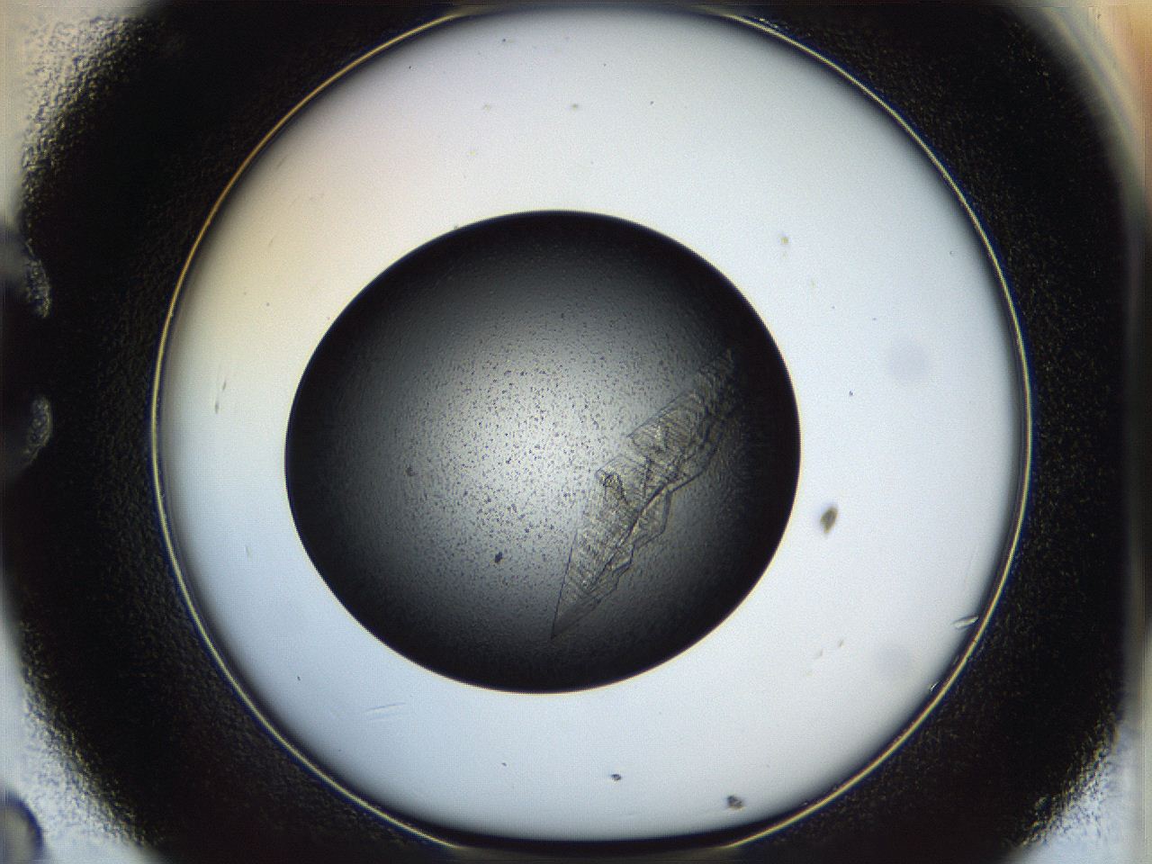 05dm_C8_ImagerDefaults_9.jpg