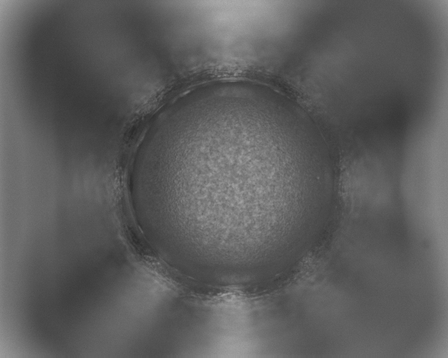 X0000052150498200507051955.png