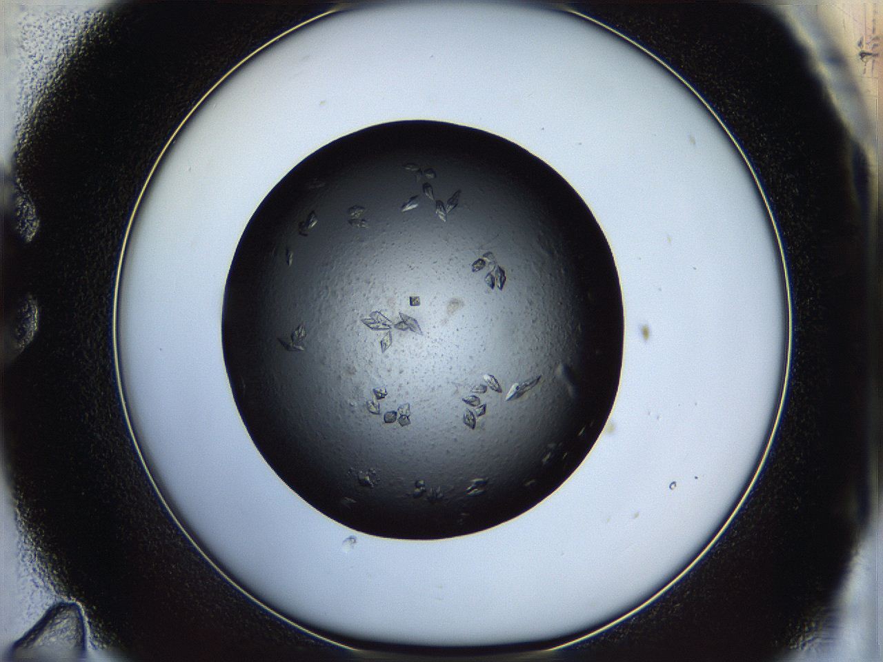 05dm_C11_ImagerDefaults_9.jpg