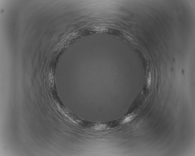 X0000054170609200508101801.png