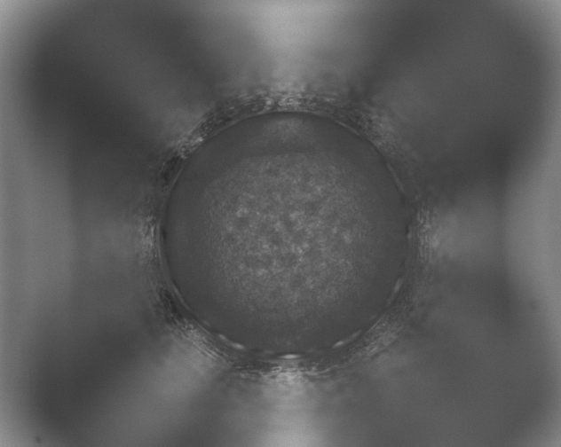 X0000052150661200507051953.png