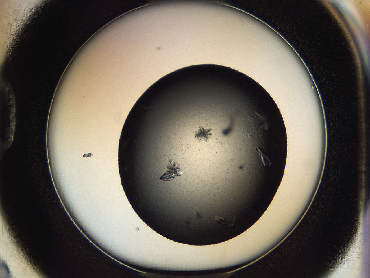 05dm_D2_ImagerDefaults_9.jpg
