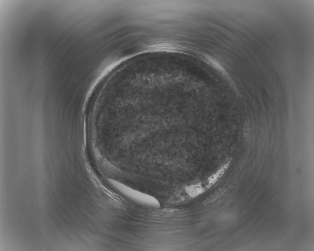 X0000054271323200508261905.png