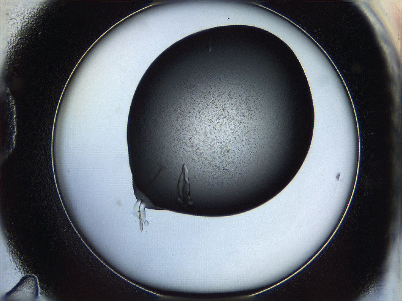 05dm_D11_ImagerDefaults_9.jpg