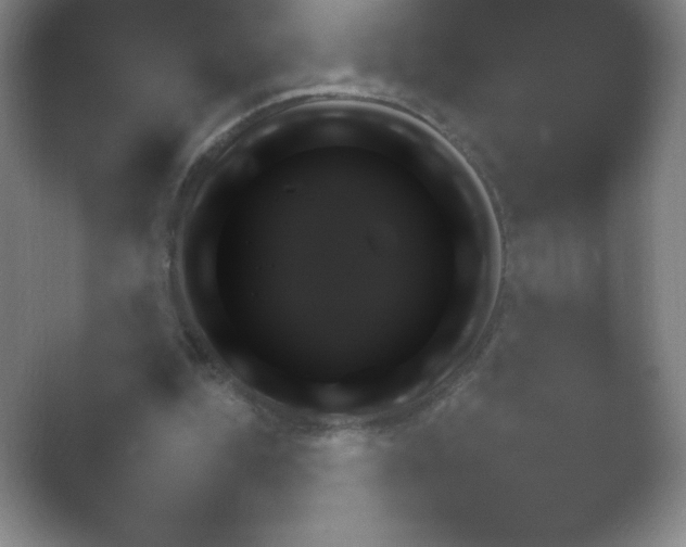 X0000054730344200508171857.png