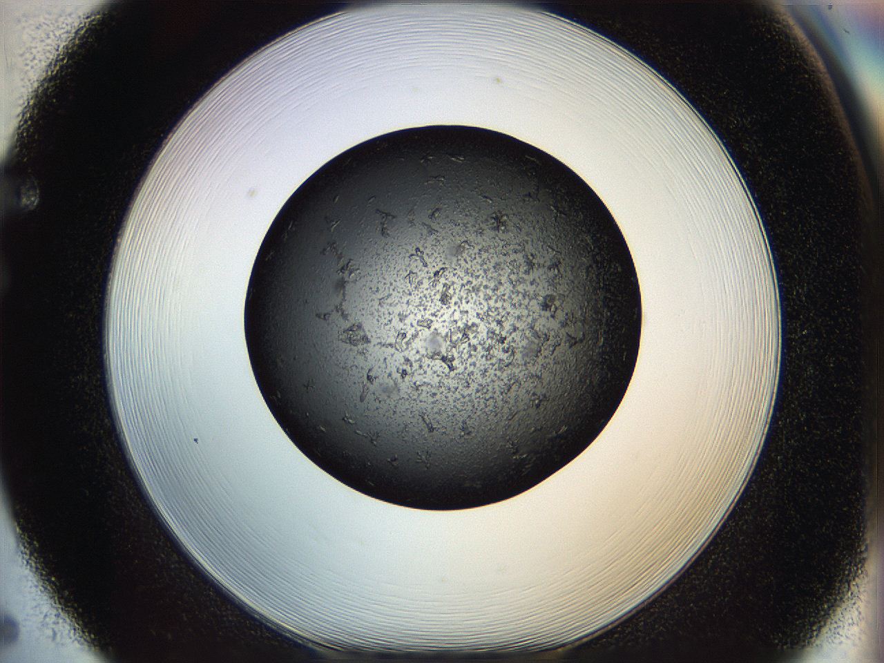 05dm_F5_ImagerDefaults_7.jpg