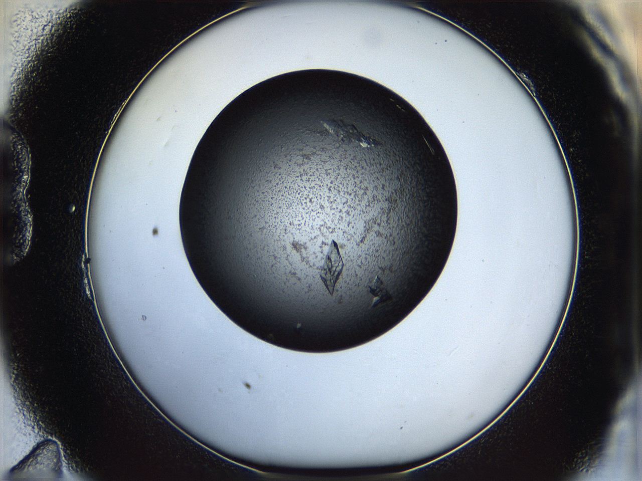 05dm_B11_ImagerDefaults_9.jpg