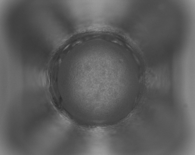 X0000052150062200507052002.png