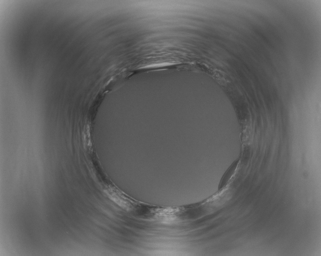 X0000054350182200508190138.png